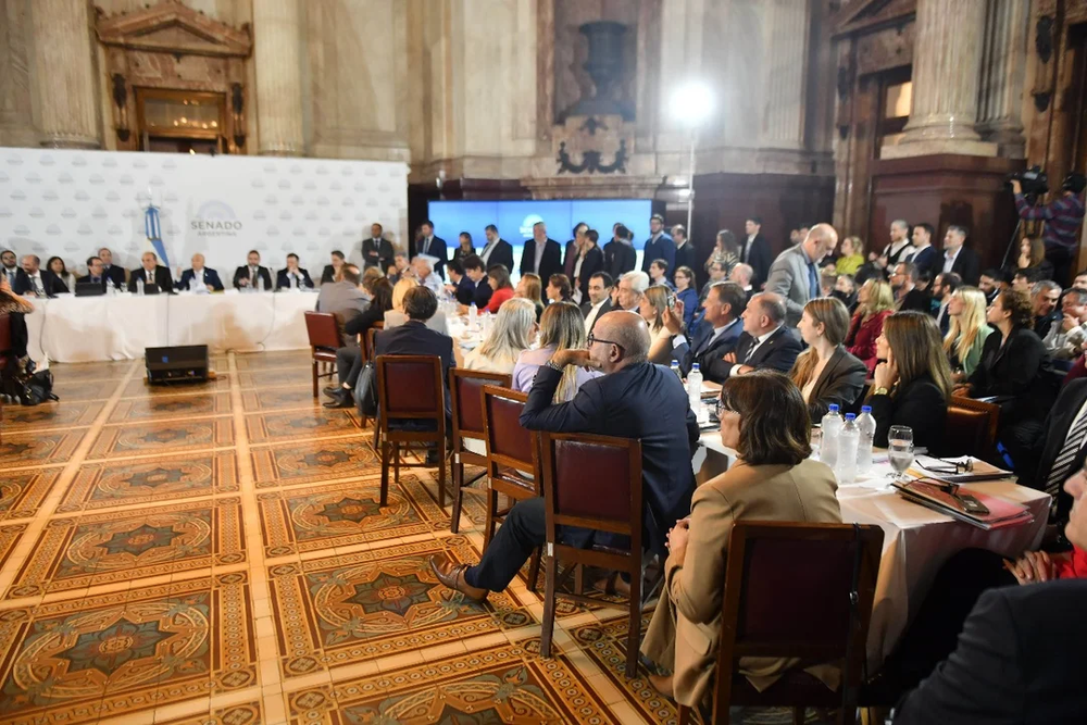 Continúa el plenario por la ley bases y el paquete fiscal en el Senado