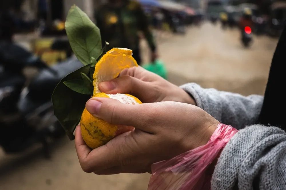 Mandarinas, con precio bajo en estos momentos.