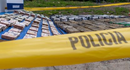 golpe al narcotrafico: tres condenados por lavado en operacion trazador, uno de ellos era colaborador de edil del partido nacional