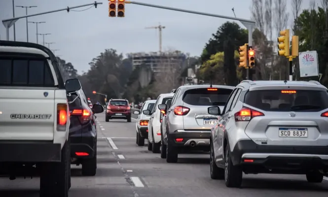 Sucive no envía mensajes de texto con links.