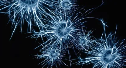 El Observador | 1699277708498.webp