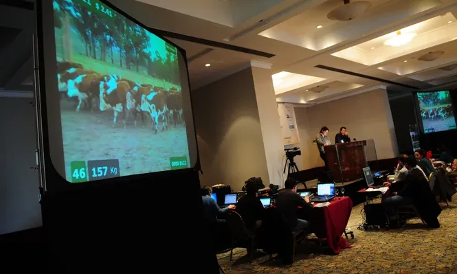 El remate de Plazarural se desarrolló en el hotel Sheraton