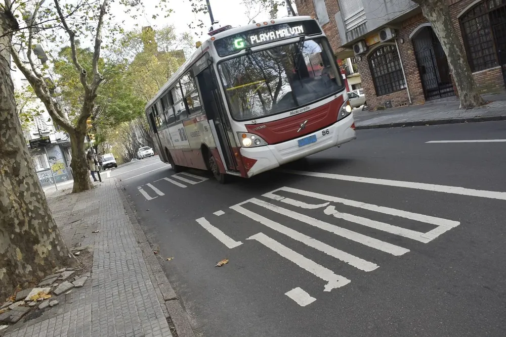 IM comienza a fiscalizar este viernes 10 de octubre