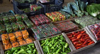 Lista Inteligente: ajíes, uno de los rubros, en venta en la UAM.