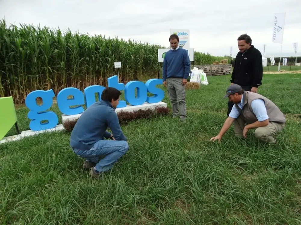 Área demostrativa de Gentos Uruguay.