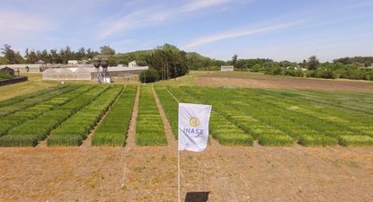 Inase, área propia de ensayos de variedades vegetales.