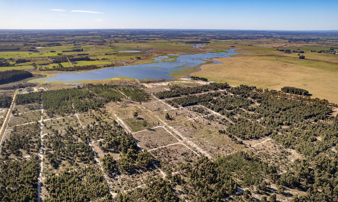Laguna del Cisne: Ministerio de Ambiente discrepa con la Intendencia de Canelones y pone un freno a proyecto de chacras cuestionado por vecinos