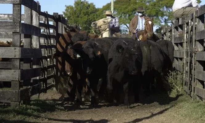 La venta se hizo en el local Ansina.