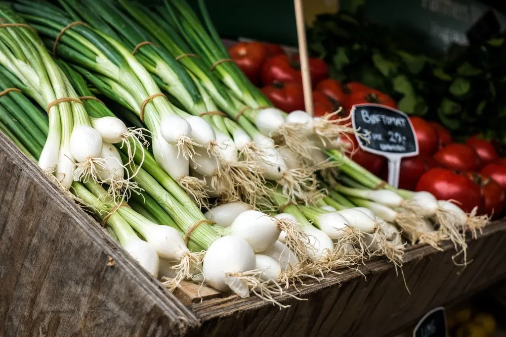 foodiesfeed.com_fresh-scallion-at-a-market.webp