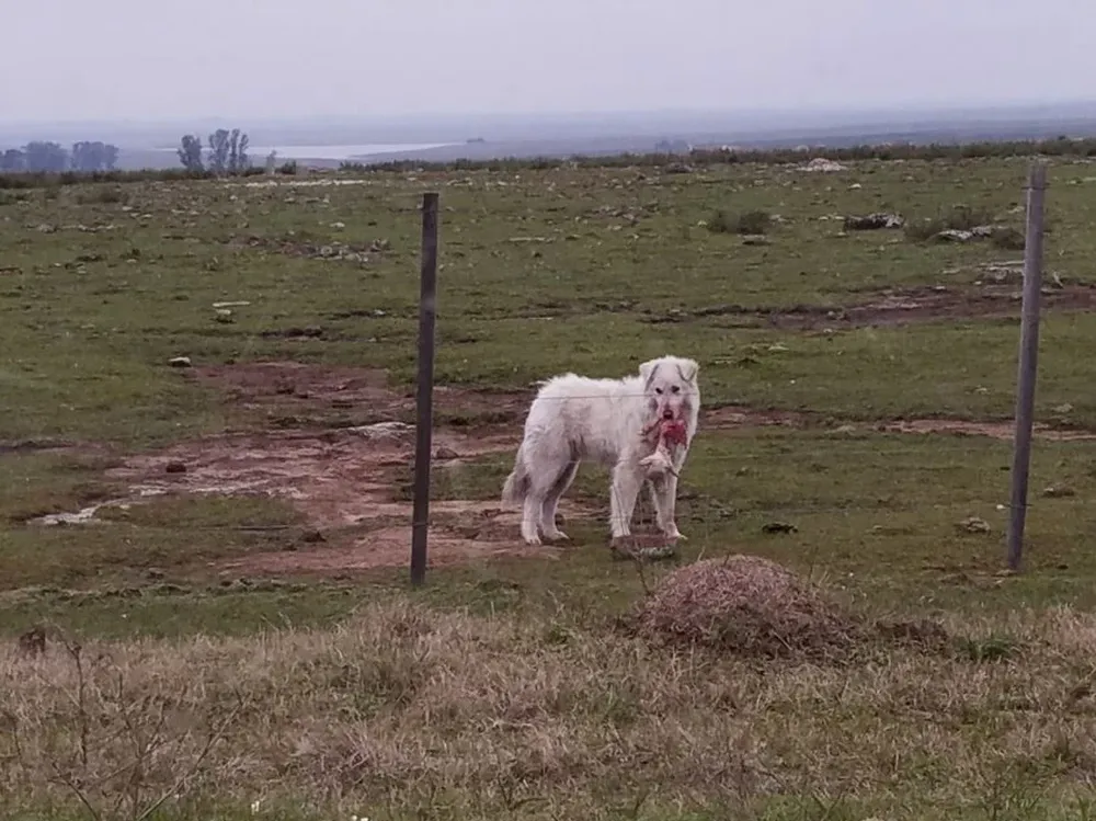 Foto tomada en Salto