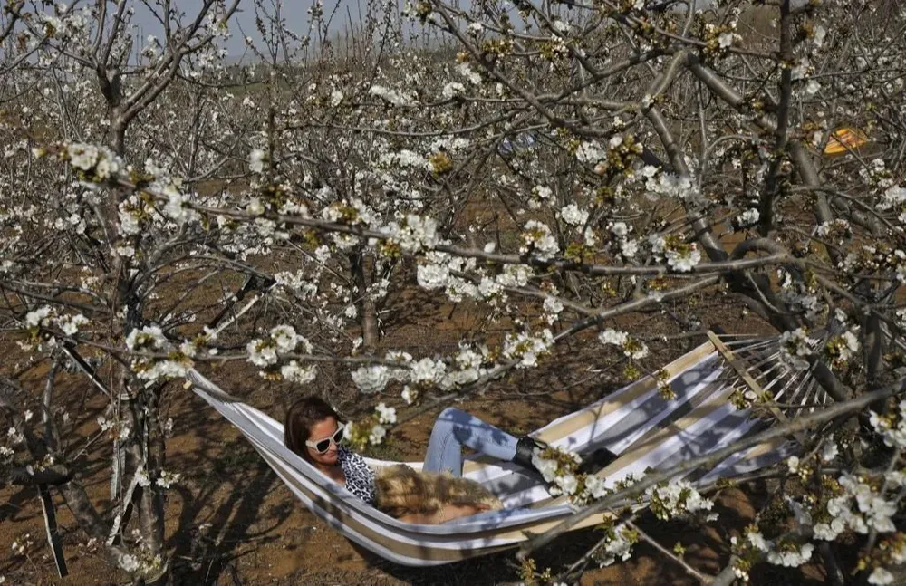 Una mujer israelí acostada sobre una hamaca paraguaya en una granja