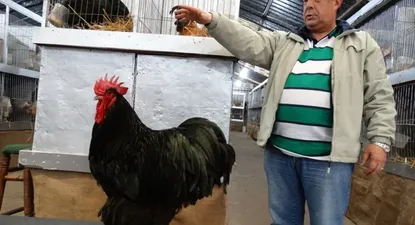 El Observador | 0000163773.webp