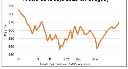 El mercado de soja domina la atención de agricultores y operadores de granos en Uruguay: así están las cosas