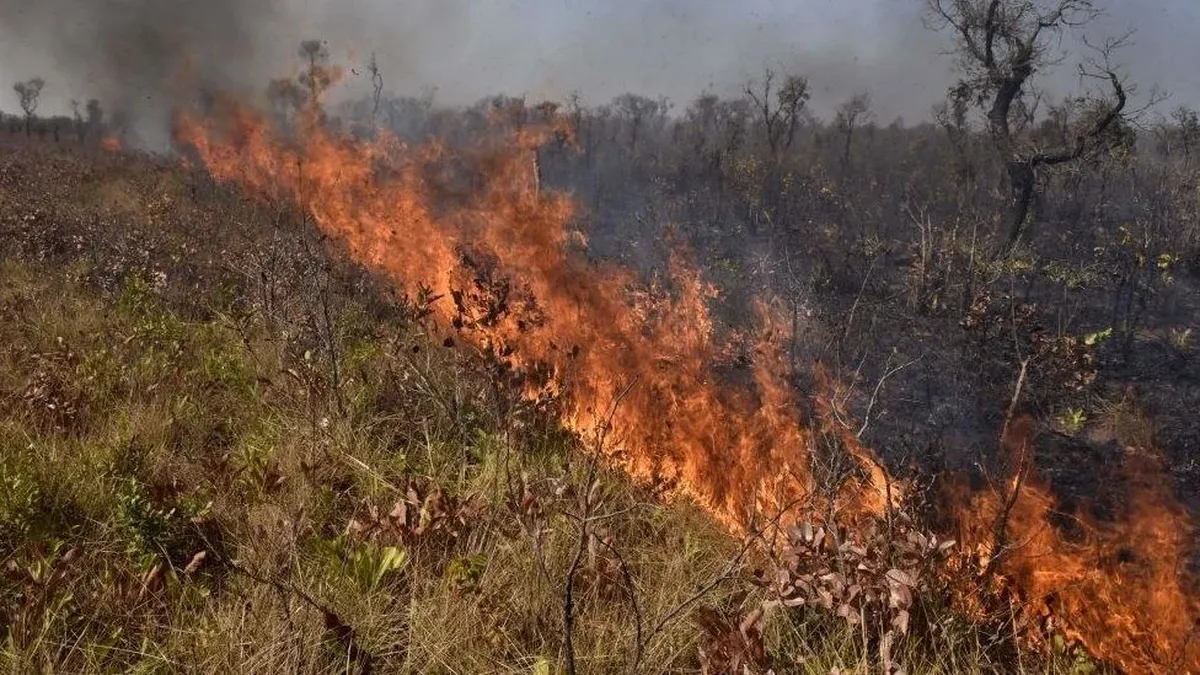 Incendios en el Amazonas: el fuego sigue “fuera de control” en Bolivia y ya arrasó 2 millones de hectáreas