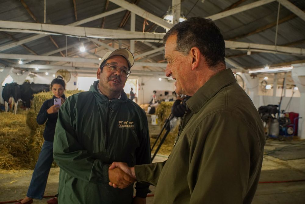 maini san josé2.jpg