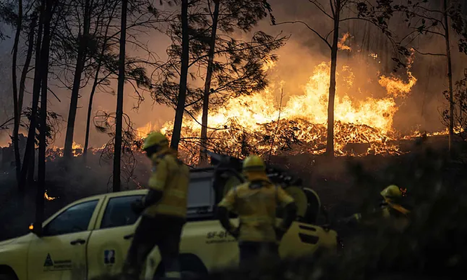 Incendios en Portugal