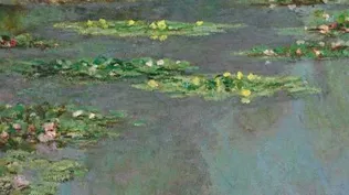 Nenúfares, del pintor Claude Monet