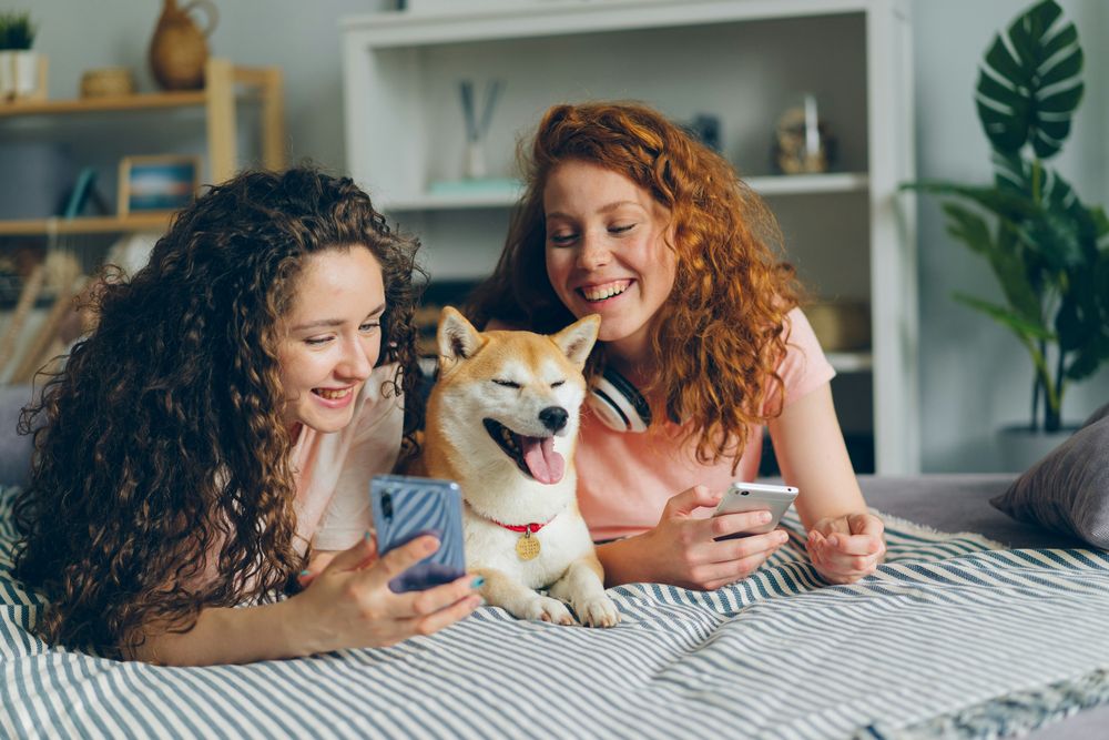 Las aplicaciones y dispositivos se adaptan a las diferentes necesidades de cada tipo de mascota.