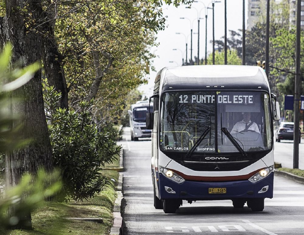 omnibus codesa bus transporte.jpg