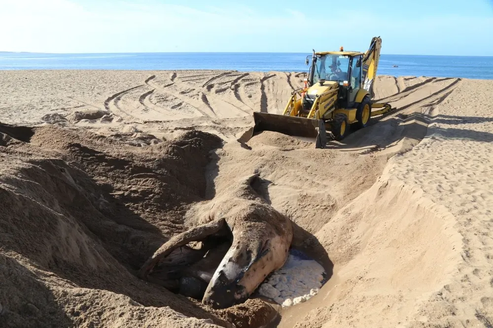 El entierro se realizó este viernes desde las 8 de la mañana
