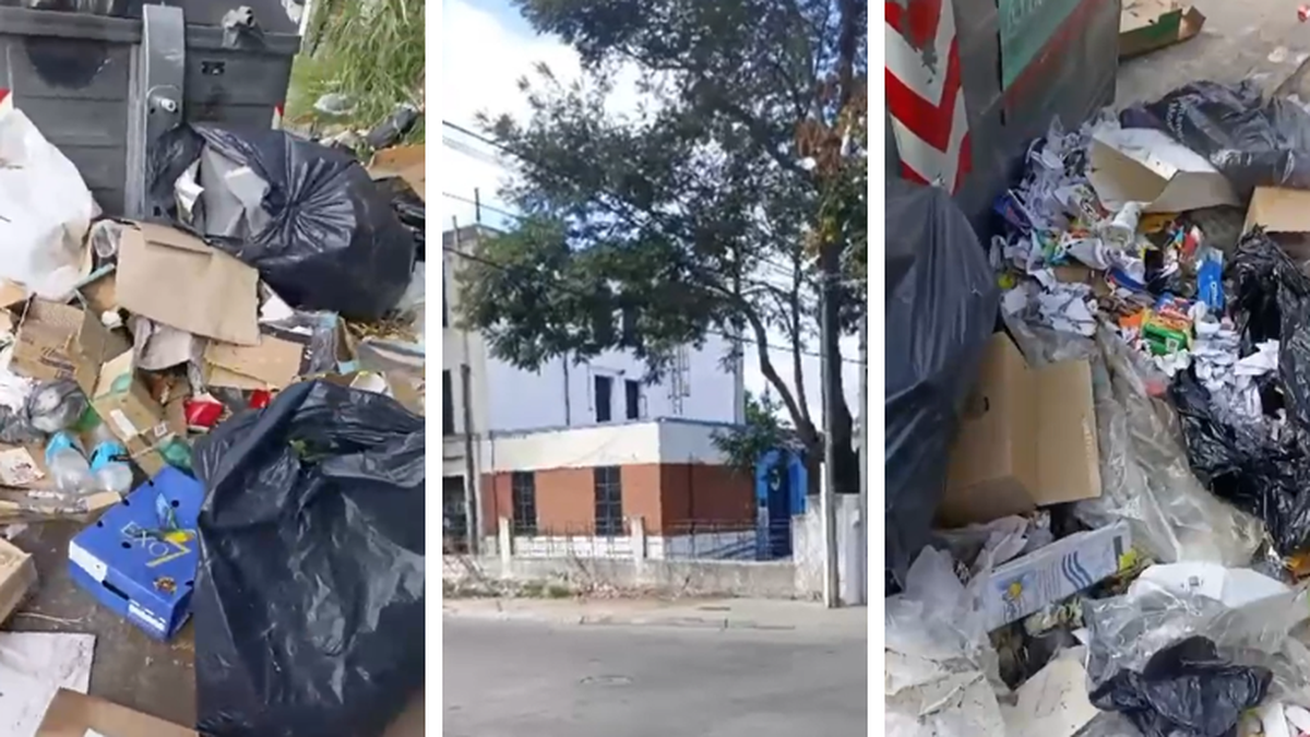 Es un asco, por acá ingresan los niños: vecinos denuncian contenedor ...
