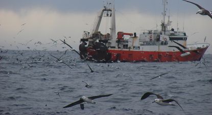 El Observador | Buque arrastero uruguayo.JPG