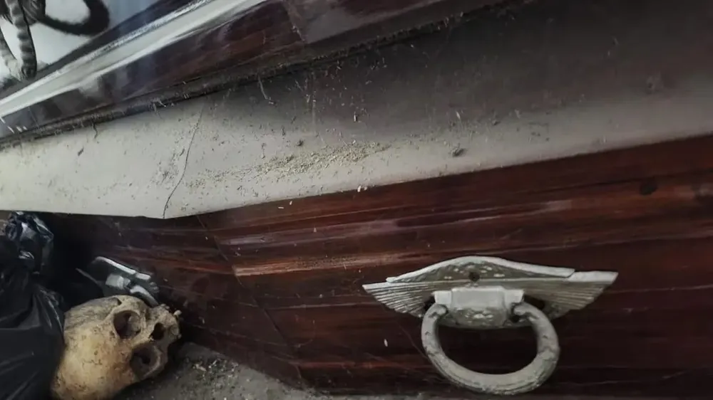 Cementerio de La Plata: la Justicia determinó el origen de algunos de los huesos encontrados