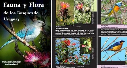 El Observador | 0000343409.webp