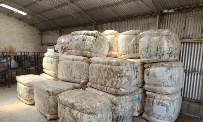 Uruguay: las lanas producidas teniendo como marco los emprendimientos del CRILU son una referencia de calidad con excelencia.