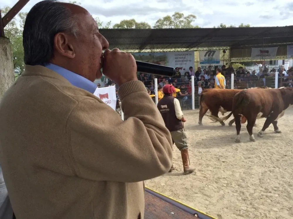 Toros los remates de la Central Kiyú se realizaron con el martillo de Daniel Dutra