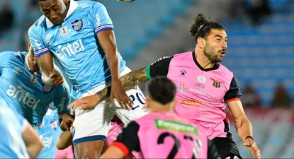 Carneiro contra Allala