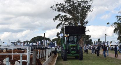 Expo Rural de Melilla: la edición de 2025 se hará del 3 al 6 de abril.
