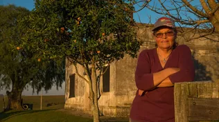 Iris Arellano.