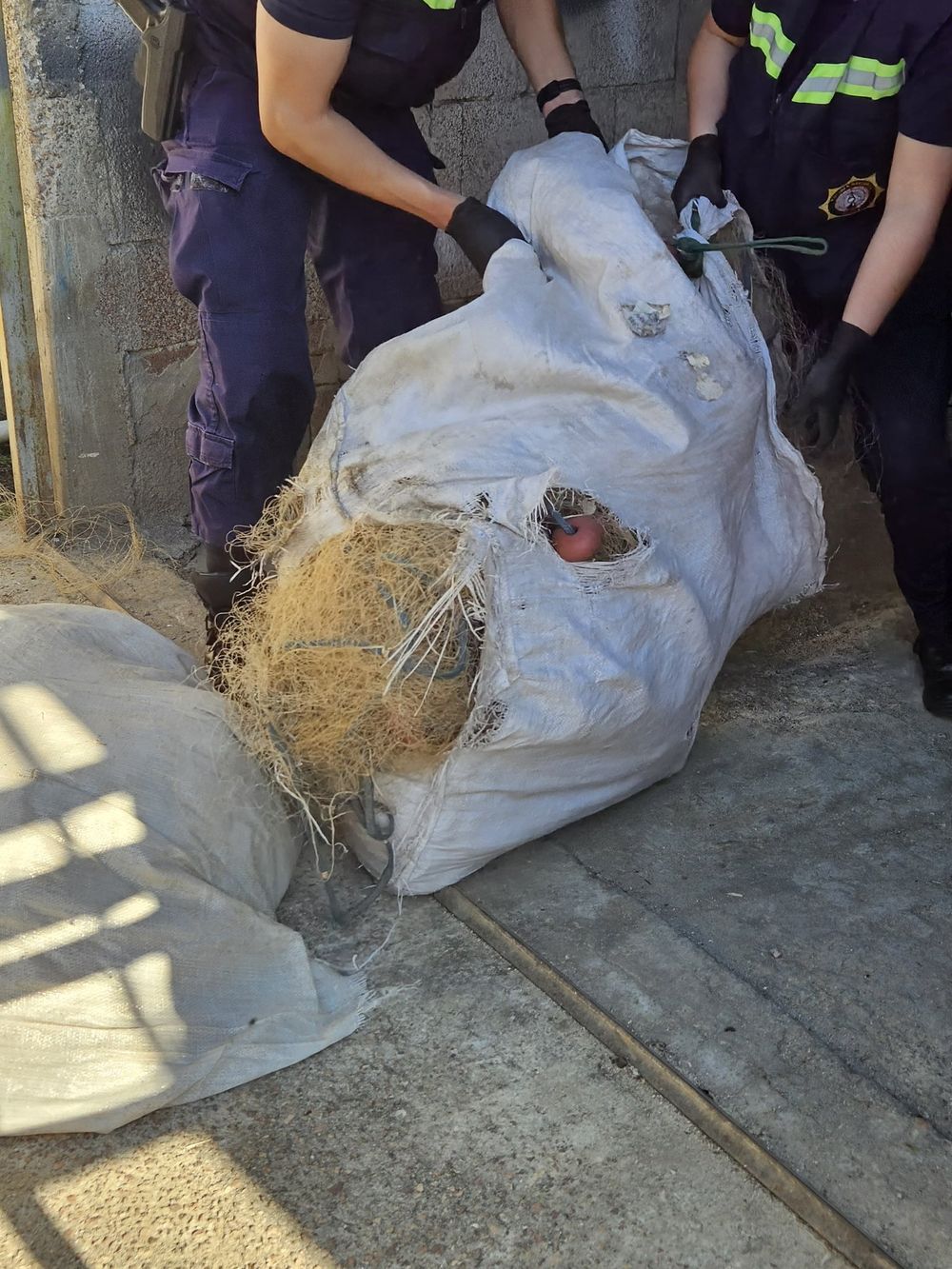 Operativo de la Dirección Antidrogas