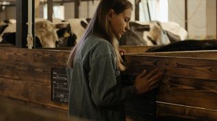 Mujeres: los proyectos apoyados consideran varios rubros de actividades productivas.