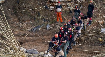Efectivos de la UME trabajan quitando árboles en zonas afectadas por la DANA. EUROPA PRESS