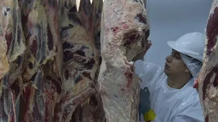 Sindicato de frigoríficos dividido: algunos quieren parar y otros no