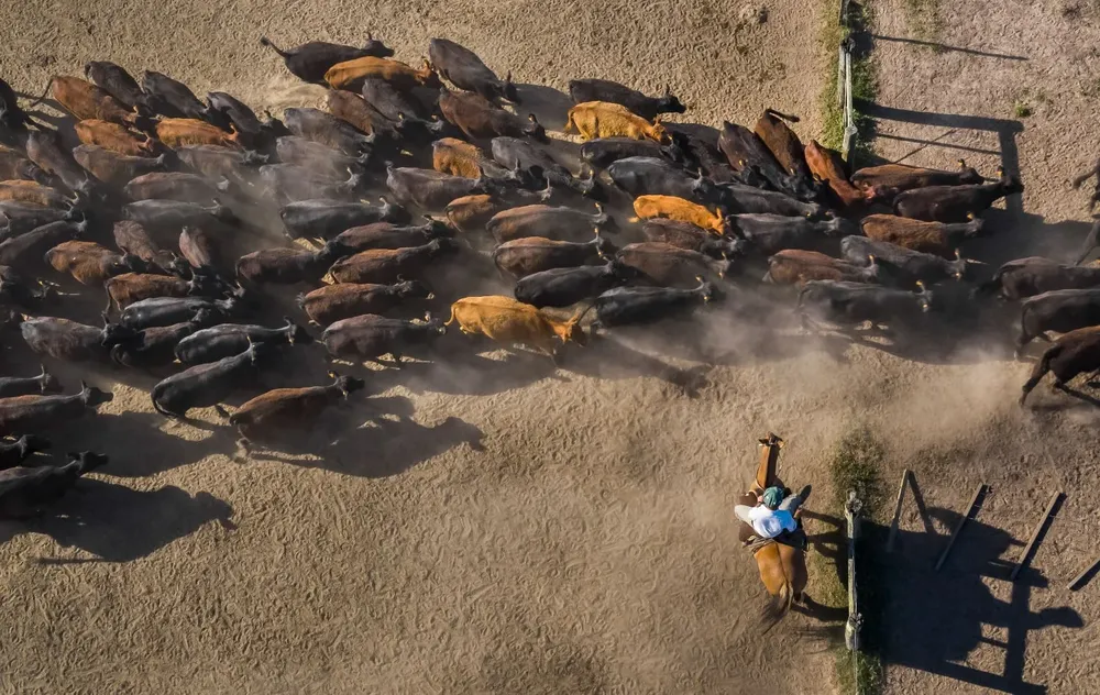 Primer premio, categoría Senior.