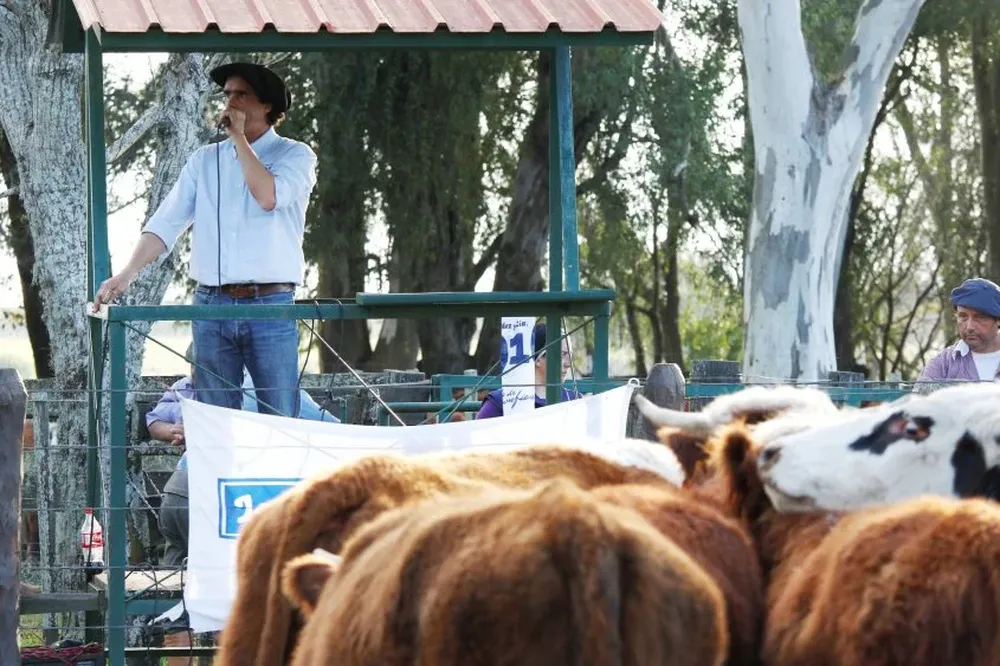 Alejandro Núñez en pleno remate