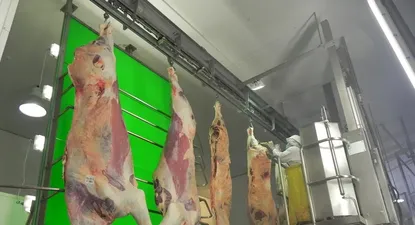 El Observador | El precio promedio por tonelada de carne vacuna mejoró