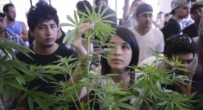 El Observador | 0003936788.webp