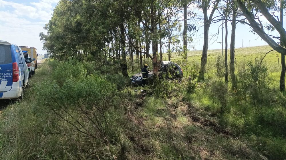 WhatsApp Image 2024-11-16 at 1.51.39 PM.jpeg