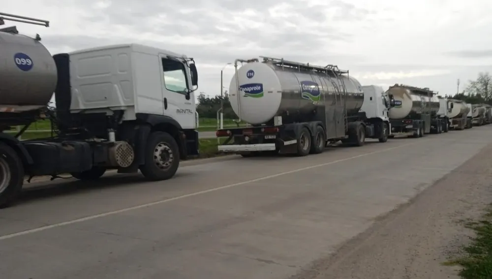 Cola para descarga de leche procedente de los tambos.