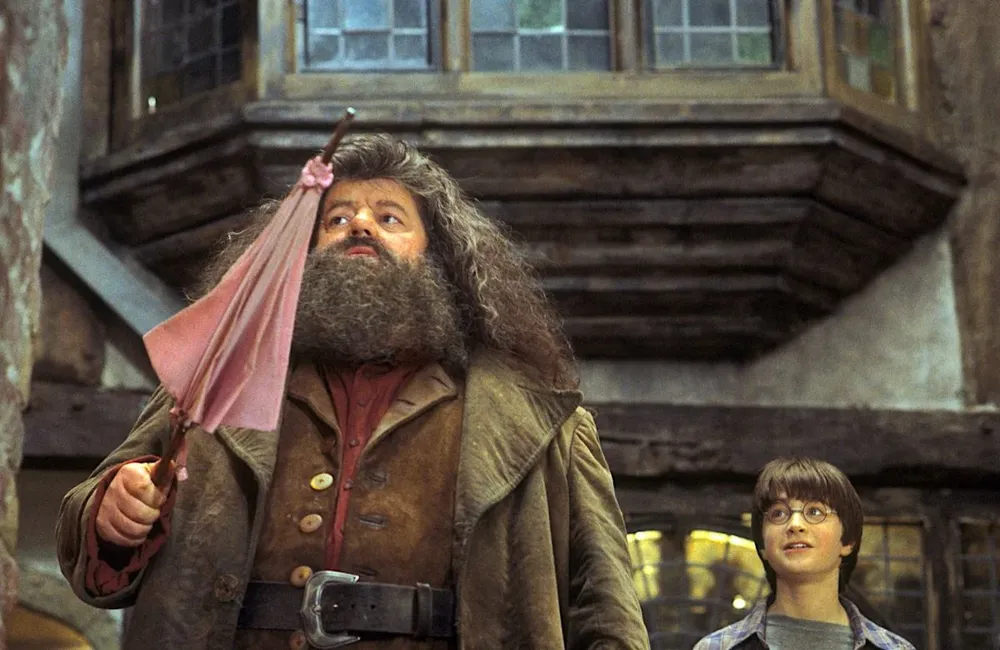 Hagrid y Harry en La piedra filosofal (2001)