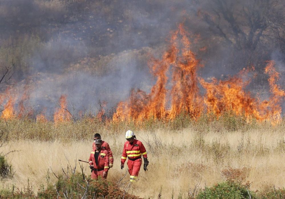 El incendio en Molezuelas de la Carballeda, el mayor de la historia de España.&nbsp;