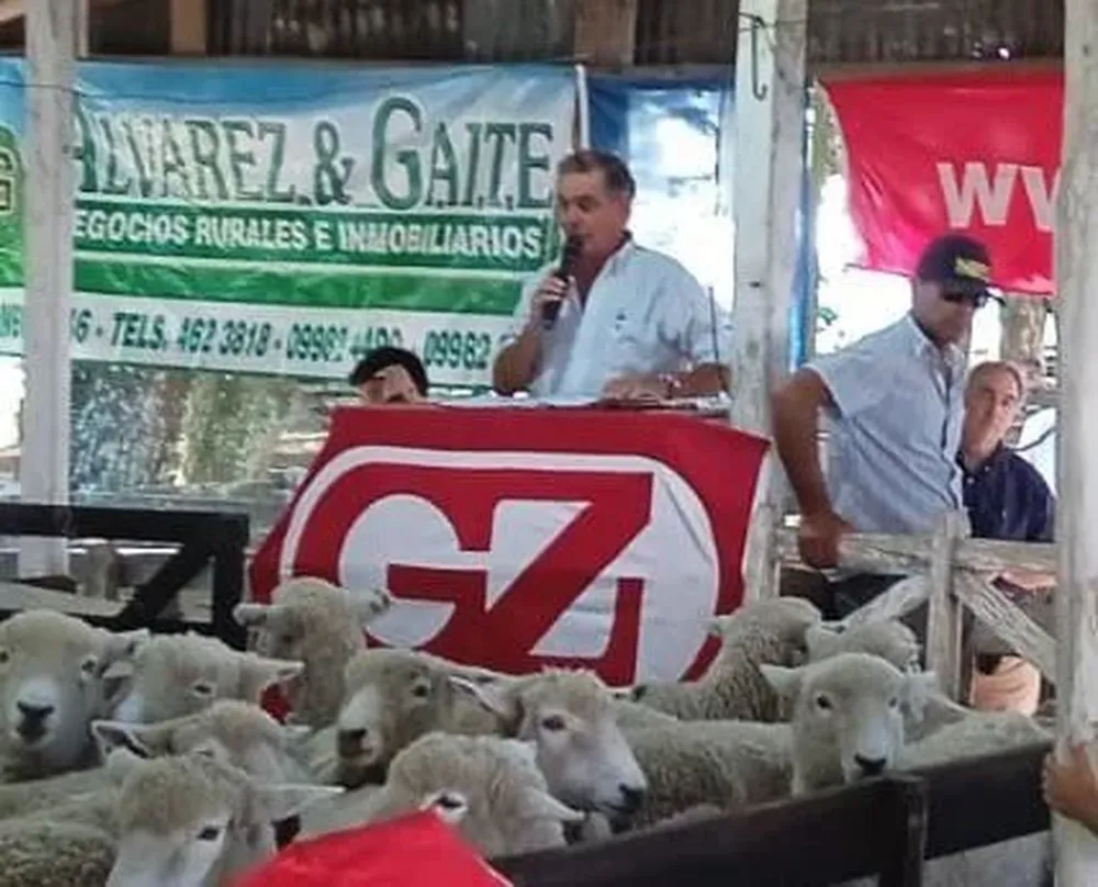 Gerardo Zambrano en uno de los remates de la zafra, vendiendo Romney de Santa María.