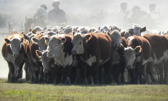 El trabajador rural tiene su feriado laborable