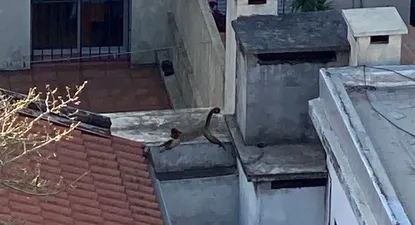 El Observador | 1662767592615.webp