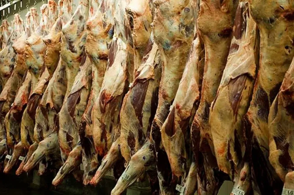 El contrabando detectado en Pedro Juan Caballero pone en riesgo la credibilidad de Paraguay.