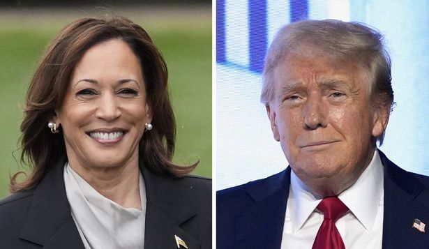 Kamala Harris y Donald Trump